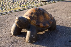 Хельсинки, Финляндия | Helsinki, Finland | Самостоятельные путешествия ChanceToTrip.com