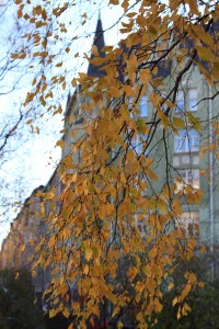Хельсинки, Финляндия | Helsinki, Finland | Самостоятельные путешествия ChanceToTrip.com