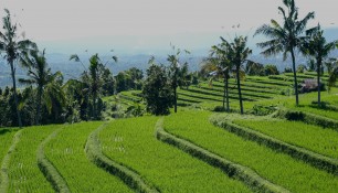 Бали, Индонезия | Елена Ходосевич | Самостоятельные путешествия ChanceToTrip.com