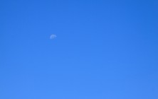 Порой луна видна днем, Батуми, Грузия | Vladimir Fil'varkiv