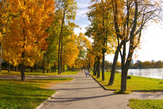 Осень, Парк Победы, Минск | ChanceToTrip.com by Vladimir Filvarkiv