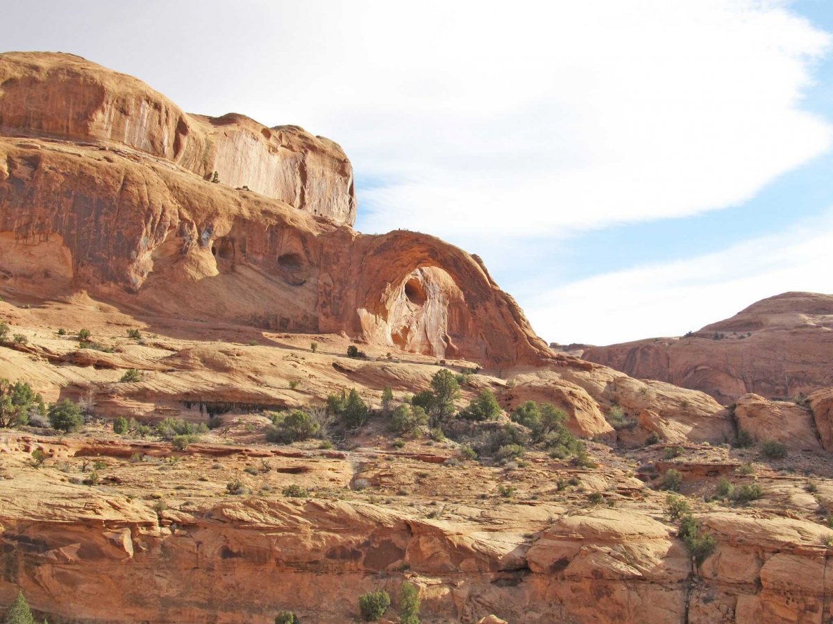 mountain-bike-along-the-poison-spider-mesa-trail-in-moab-utah